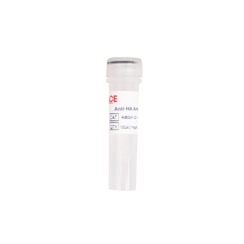 Anti-HA Antibody