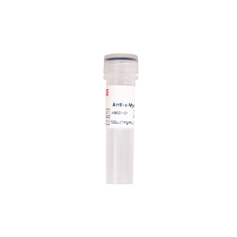 Anti-c-Myc Antibody